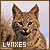 Lynxes: 